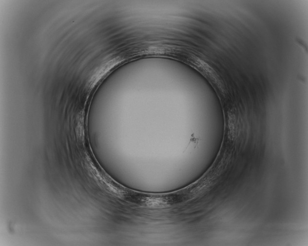 X0000101220794200807111056