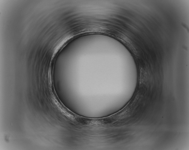 X0000101220796200807111056