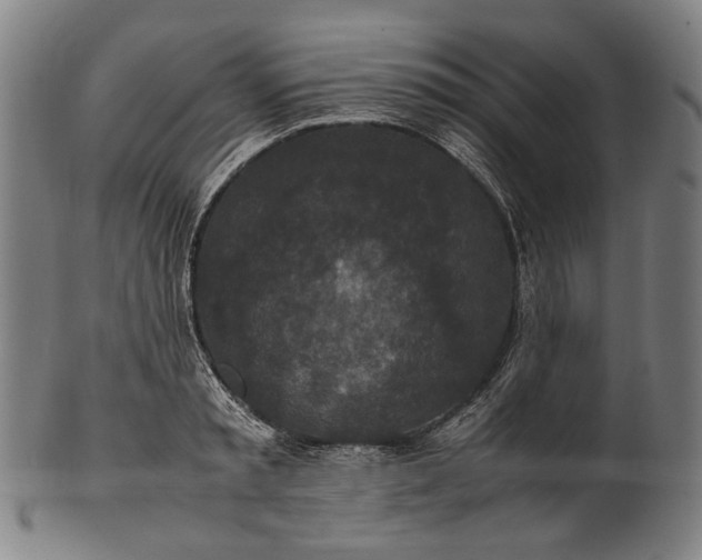 X0000101220797200807111056
