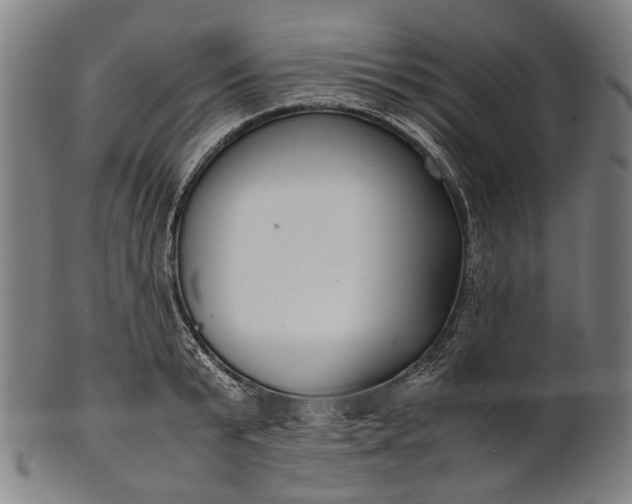 X0000101220799200807111056