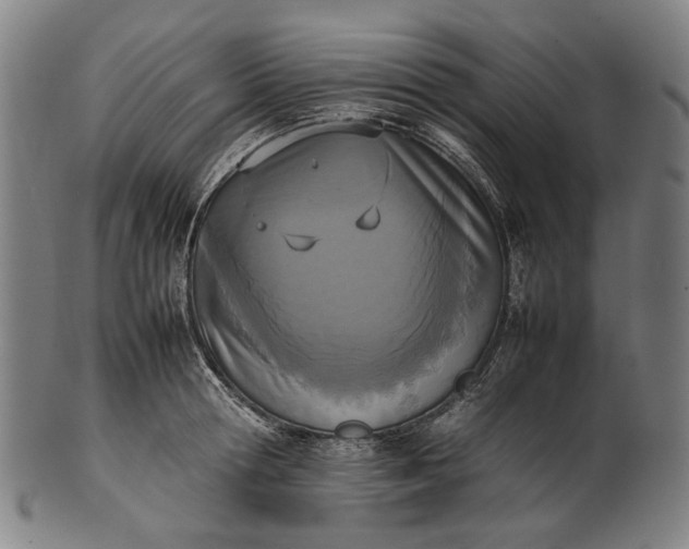 X0000101220802200807111055