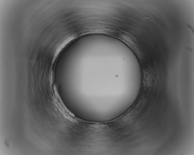 X0000101220804200807111055
