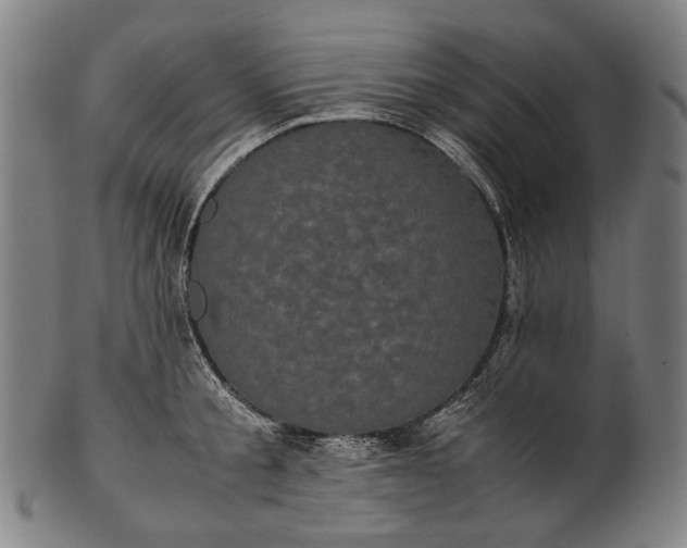 X0000101220805200807111055