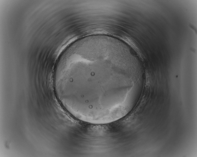 X0000101220806200807111055
