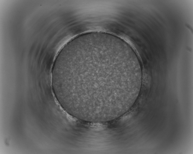 X0000101220807200807111055