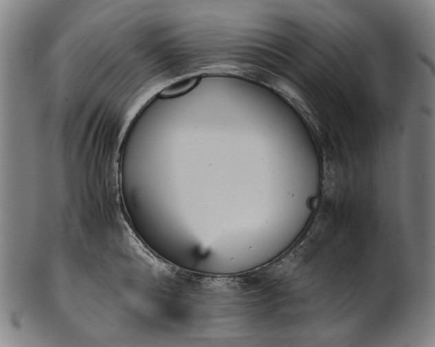 X0000101220808200807111055