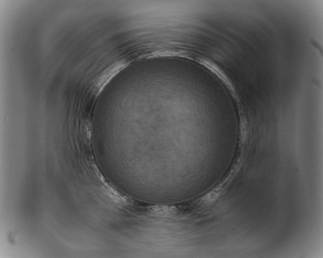 X0000101220809200807111055