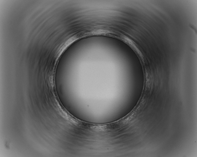 X0000101220810200807111055