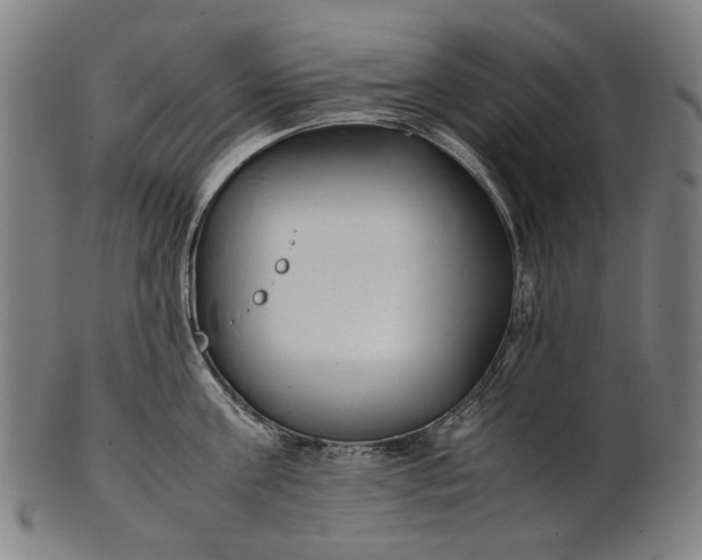 X0000101220811200807111055