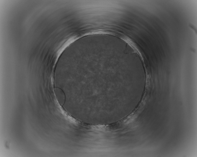 X0000101220813200807111055