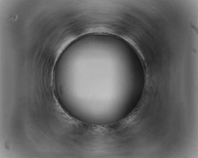 X0000101220815200807111055
