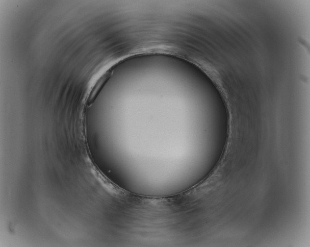 X0000101220816200807111055