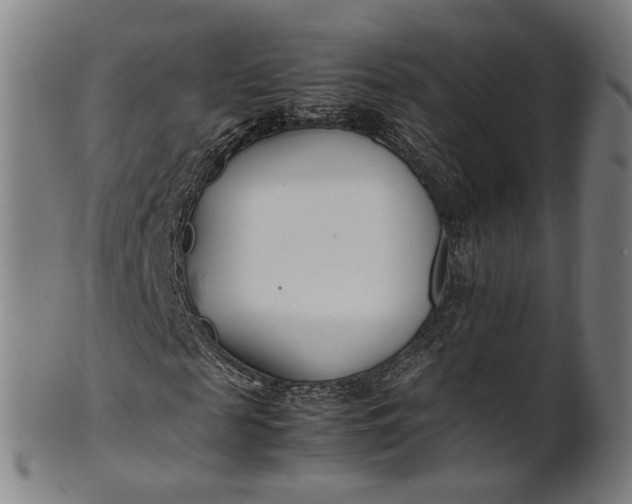 X0000101220817200807111054