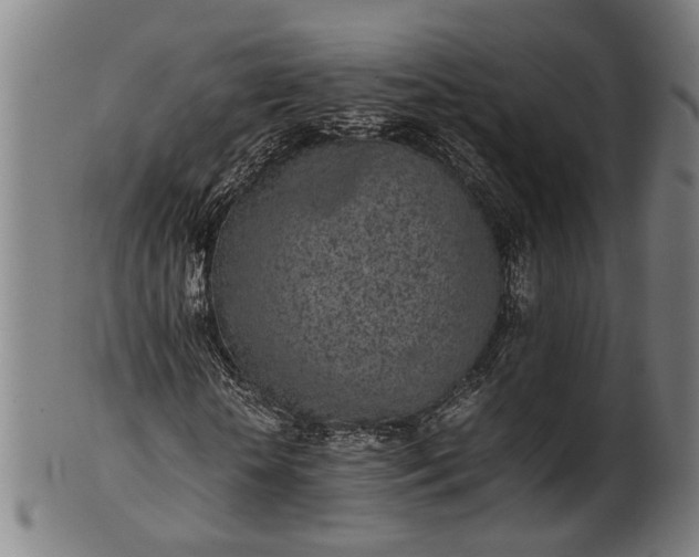 X0000101220818200807111054