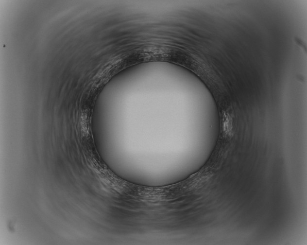 X0000101220819200807111054