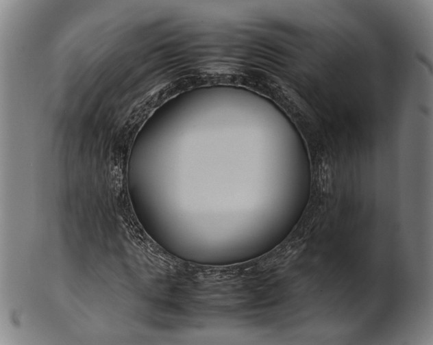 X0000101220821200807111054