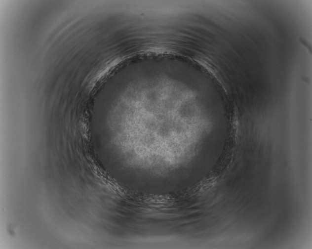 X0000101220823200807111054