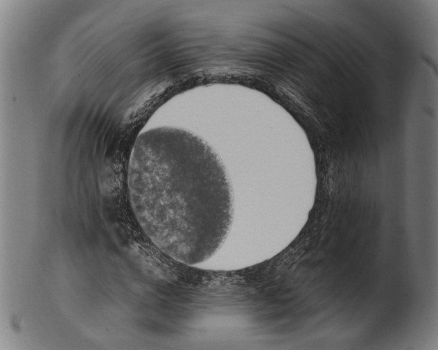 X0000101220824200807111054