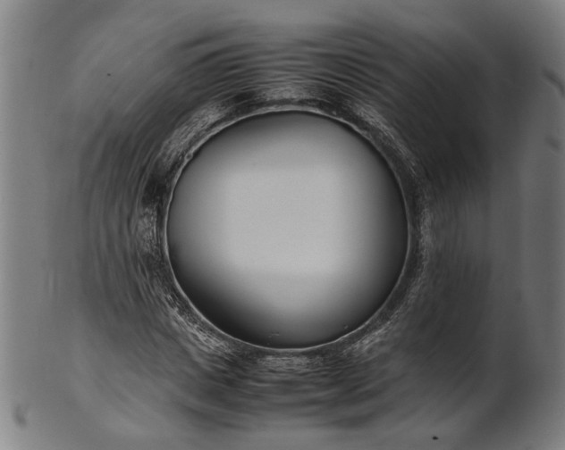 X0000101220825200807111054