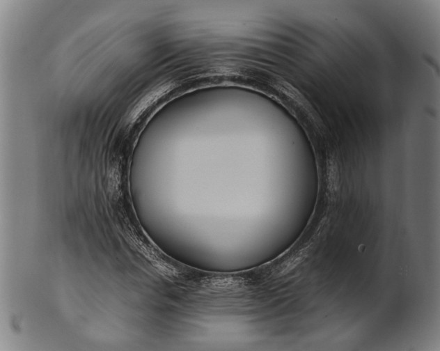 X0000101220826200807111054