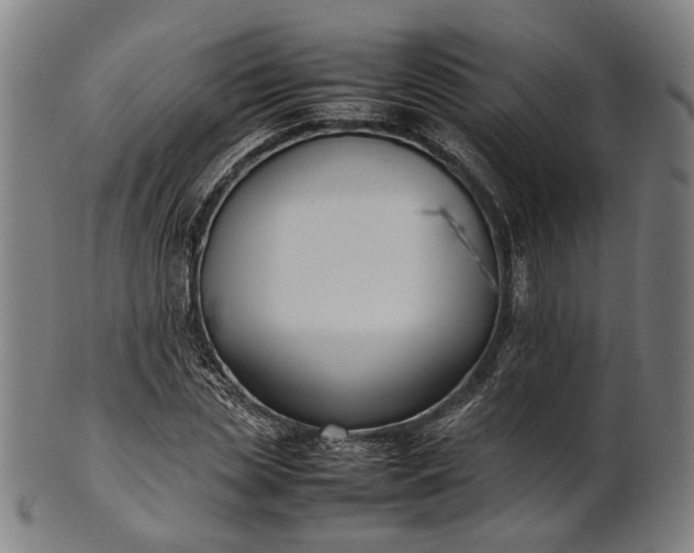 X0000101220829200807111054