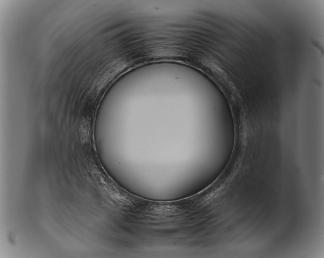 X0000101220833200807111054