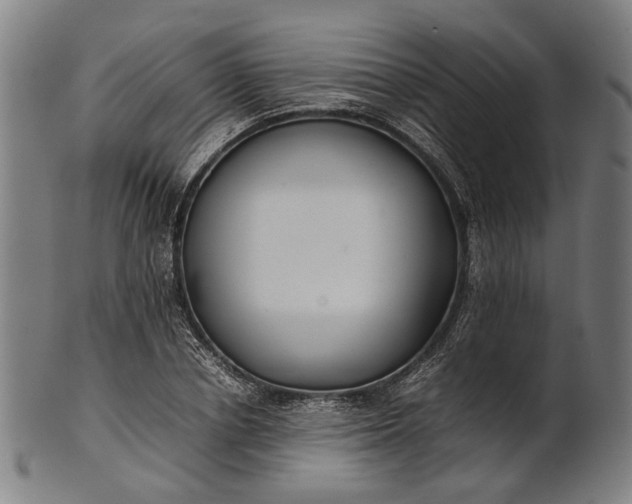X0000101220834200807111054