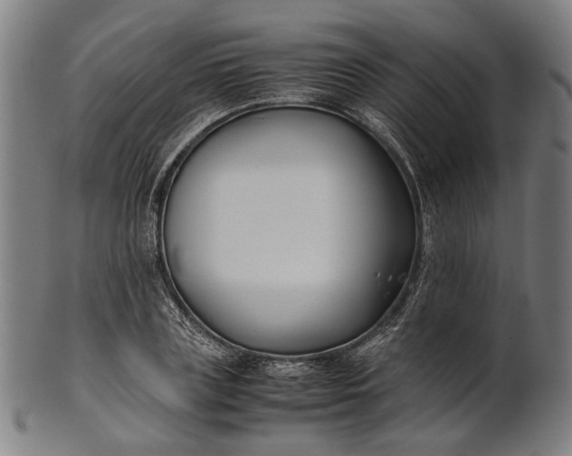 X0000101220835200807111055