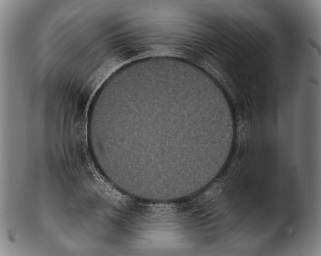 X0000101220836200807111055