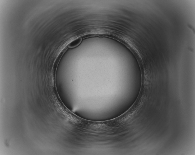 X0000101220837200807111055
