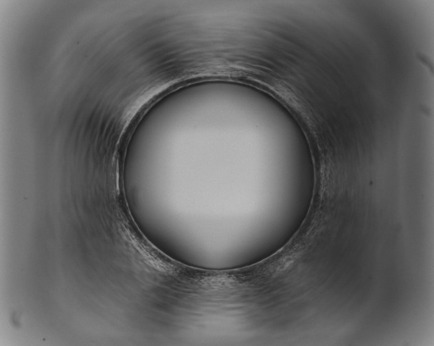 X0000101220838200807111055
