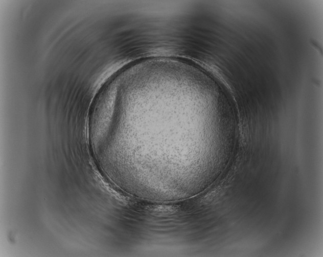 X0000101220839200807111055