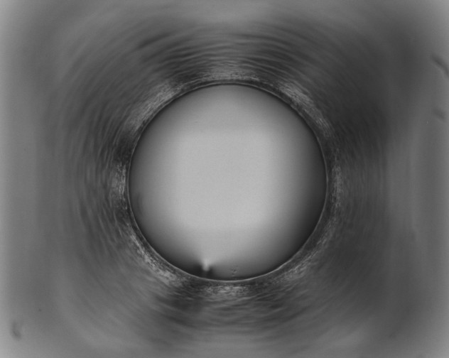 X0000101220841200807111055