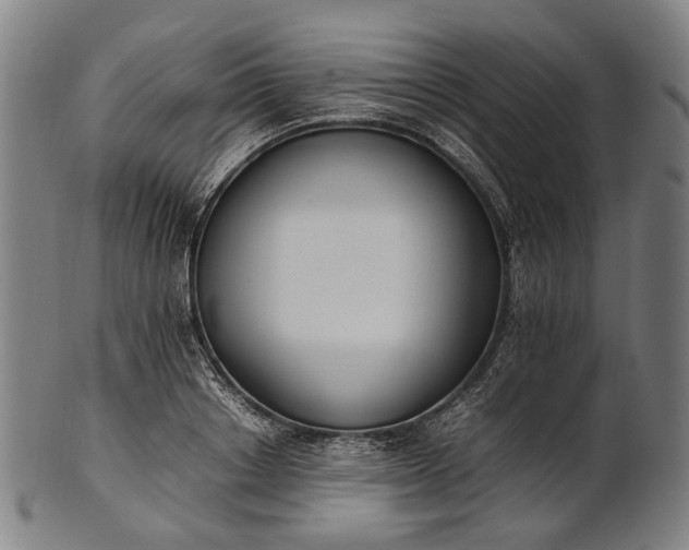 X0000101220842200807111055