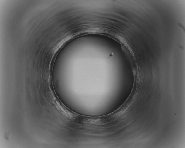 X0000101220845200807111055
