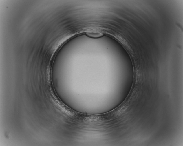 X0000101220846200807111055