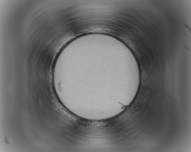 X0000101220848200807111055