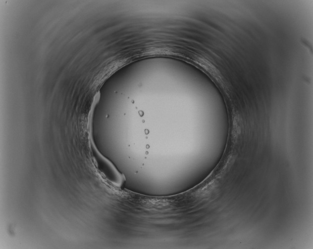 X0000101220849200807111055