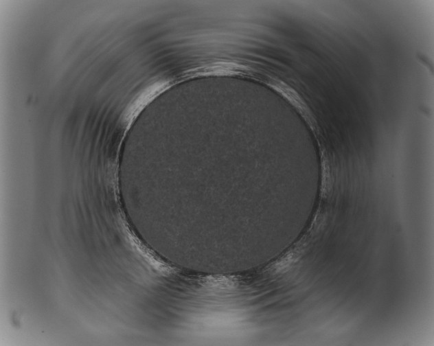 X0000101220850200807111055