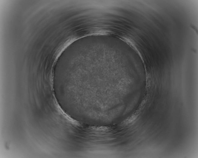X0000101220851200807111055