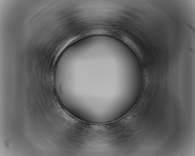 X0000101220852200807111055