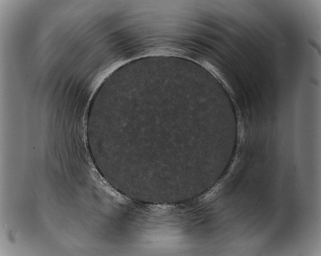 X0000101220854200807111055