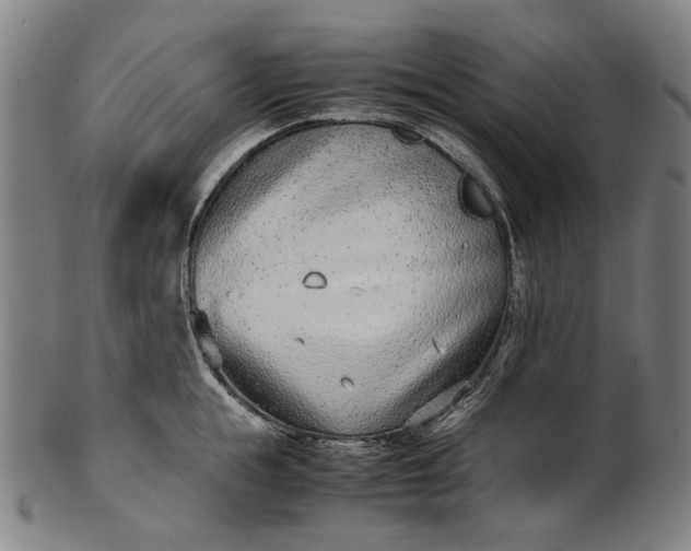 X0000101220855200807111055