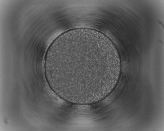 X0000101220856200807111055