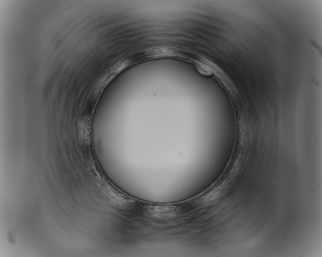X0000101220857200807111055