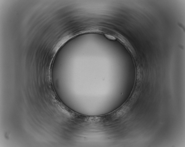 X0000101220858200807111055