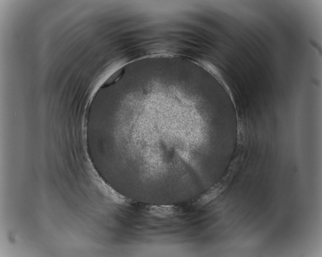 X0000101220859200807111055