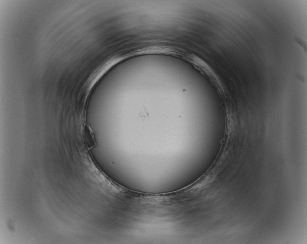 X0000101220860200807111055