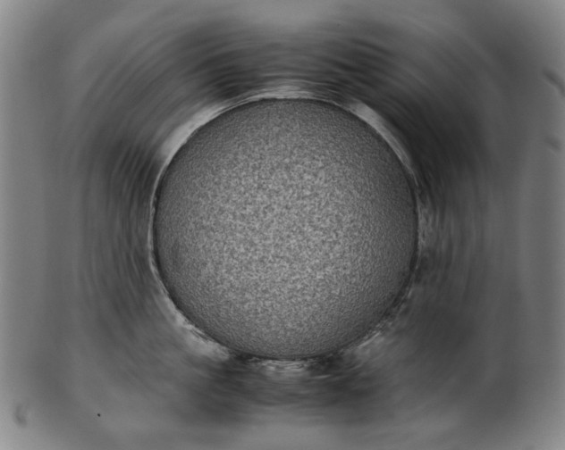 X0000101220861200807111055