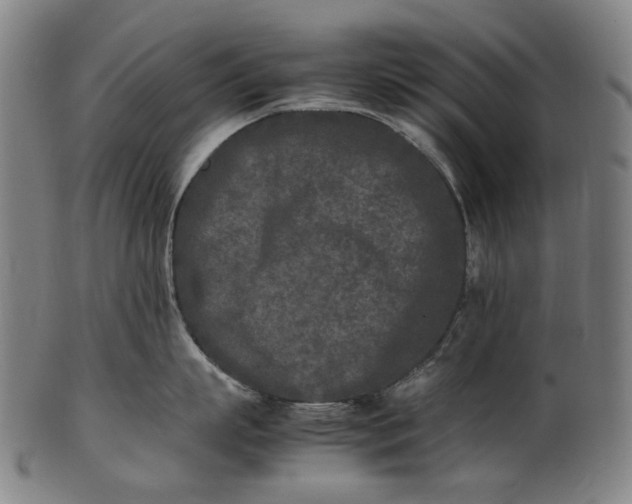X0000101220863200807111055